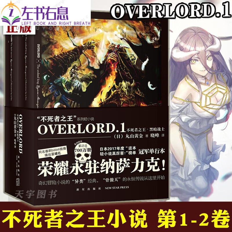 全套14册 不死者骨王overlord小