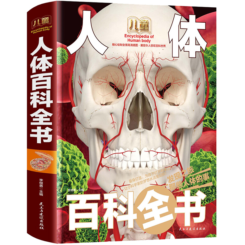 dk儿童人体大百科:结构和功能图谱人体科学百科全书探秘人体奥秘揭秘