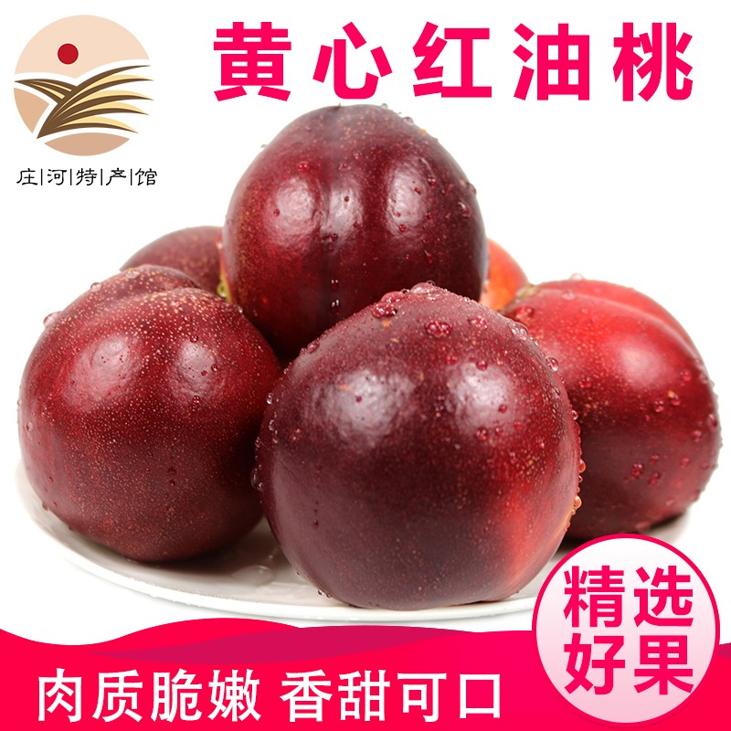 鲜姿 大连红油桃头茬新鲜黄肉油桃丑桃黄心油桃子应季新鲜水果 大连红油桃4.5斤【单果约100-125g】