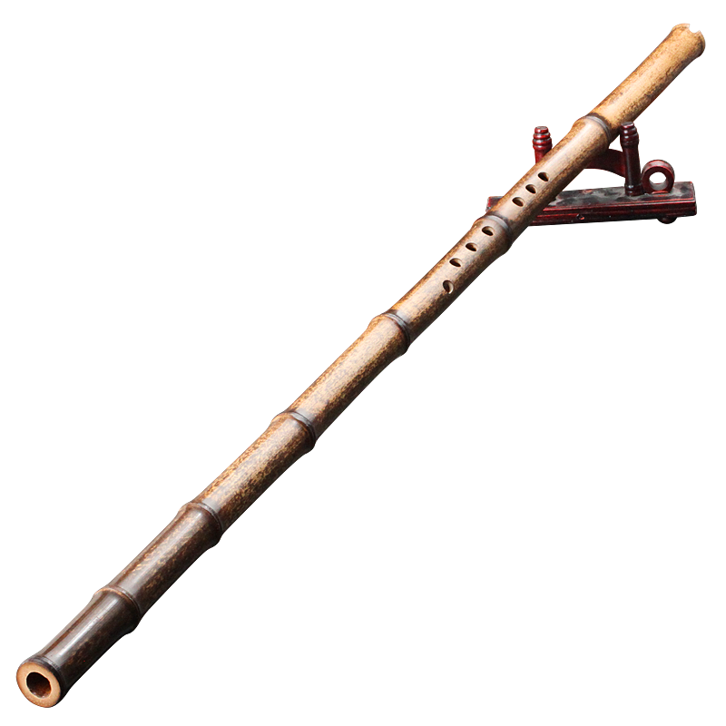 ���ڲ�������������רҵ����һ�������������ﲻ������������ 8������G�� 300.5Ԫ