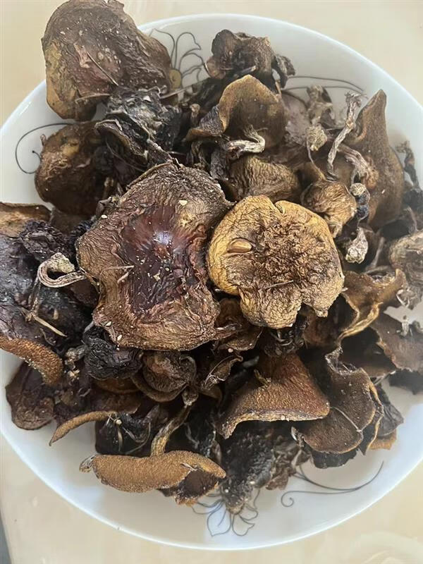 富润世沂蒙山松蘑菇野生松菇山蘑菇松蛾粘蛾子粘团子松树蘑菇干货