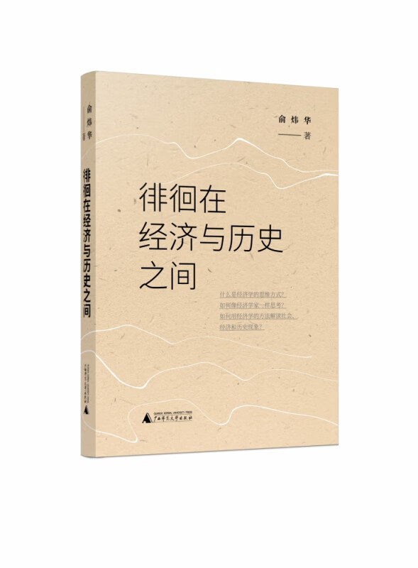 徘徊在经济与历史之间 俞炜华