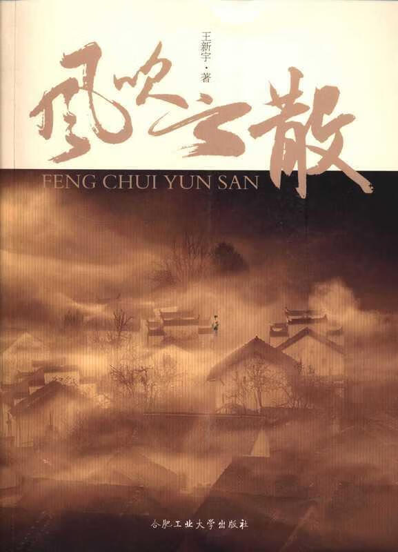 正版 风吹云散 9787565015021 王新宇