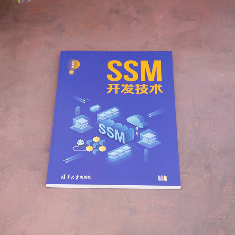SSM开发技术详情图