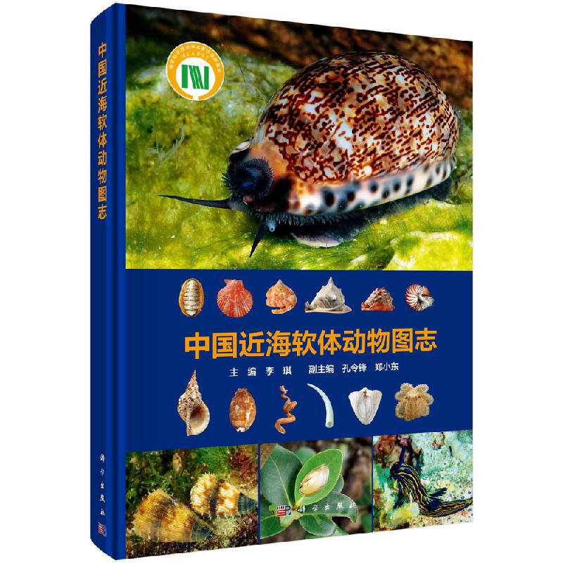 [按需印刷]中国近海软体动物图志