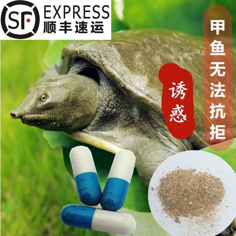 oloey  顺丰速运甲鱼小药钓王八诱饵钓老鳖诱食饵料钓鱼鳖钓龟鳖团鱼