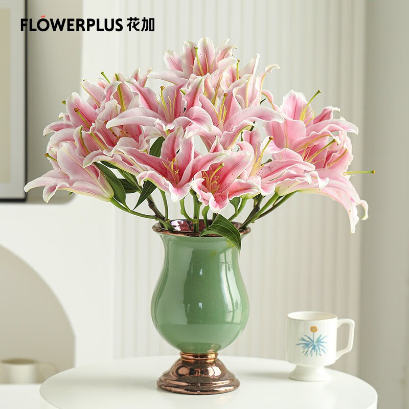 百合花 相关京东优惠商品销量降序排行榜 价格图片品牌优惠券 虎窝购 百合花 相关京东优惠商品销量降序排行榜 价格图片品牌优惠券 虎窝购