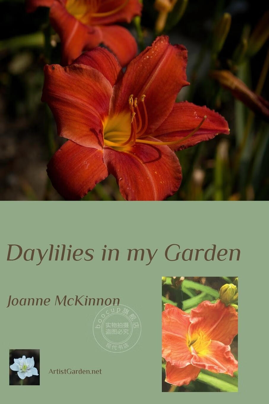 【2周达】【预售 按需印刷】daylilies in my garden