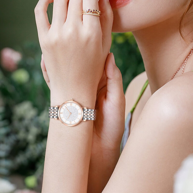 DK满天星女士手表女石英表生日新年情人节礼物送女友送老婆送妈妈 钢带满天星白盘金边 32mm