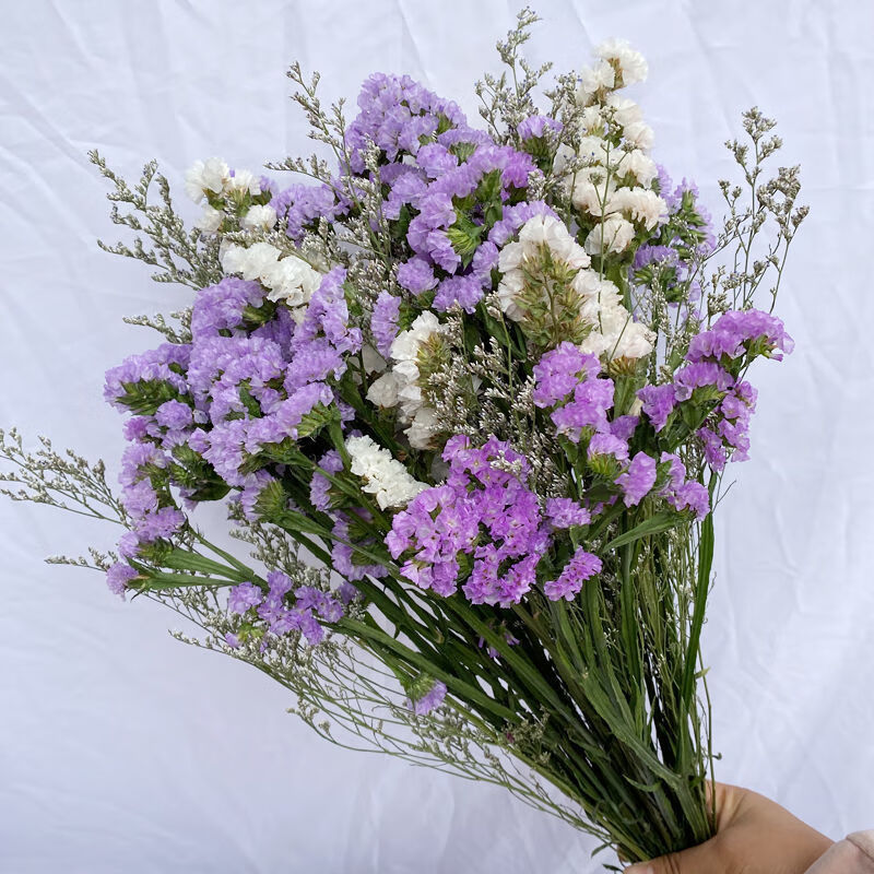 【现货直发】勿忘我情人草满天星薰衣草水晶草云南真花装饰花干花花束