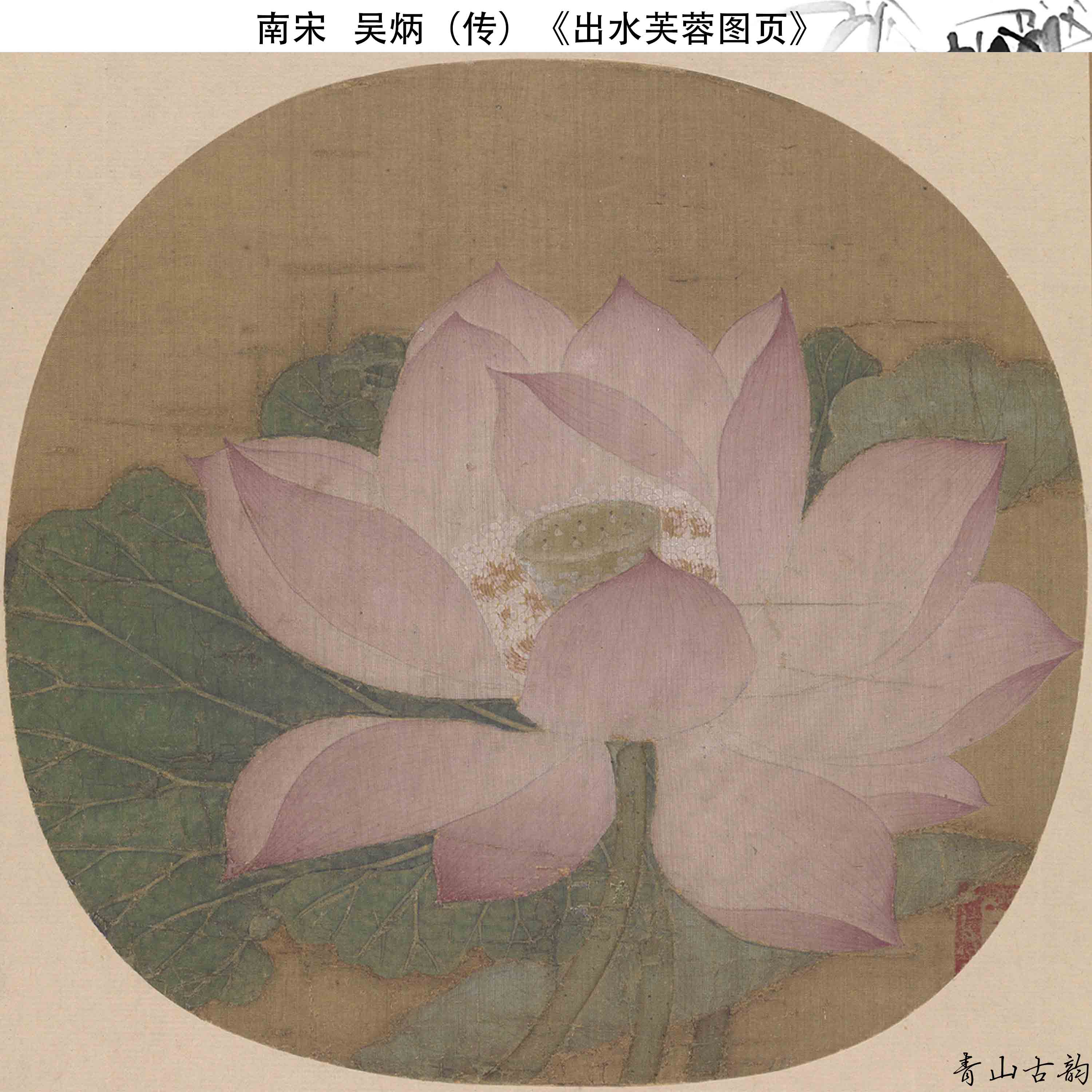 1:1南宋吴炳(传 出水芙蓉图页仿古画荷花高清微喷复制临摹手稿
