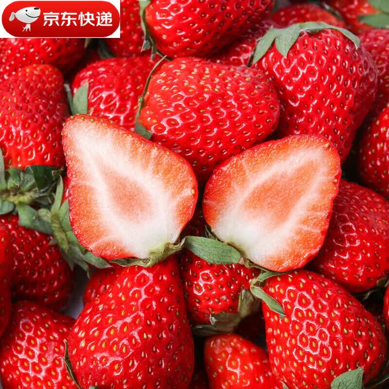 51爆料今日