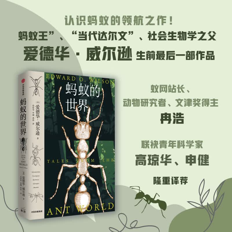 蚂蚁的世界 爱德华·威尔逊著 文津奖得主 蚁网站长 动物研究者冉浩联袂青年昆虫学者