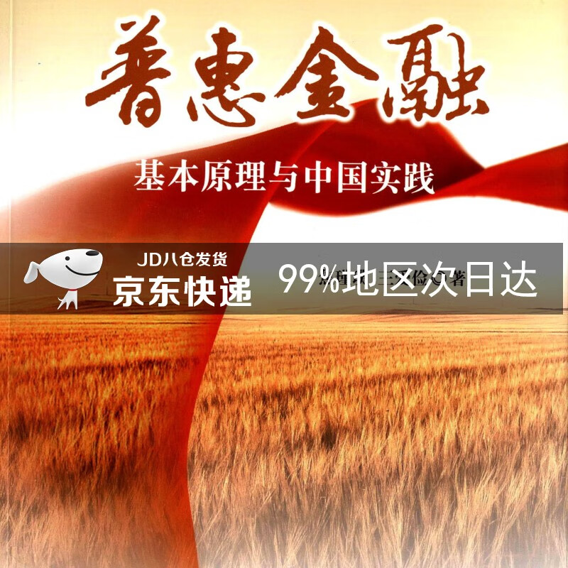 普惠金融:基本原理与中国实践
