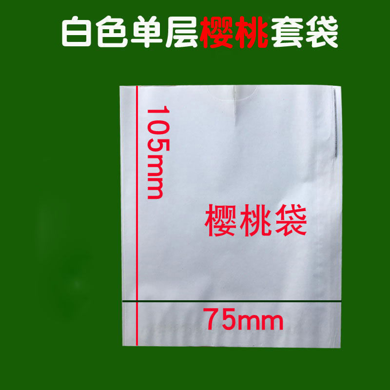 琛艺 专用纸袋子套苹果的袋子果树水果套袋梨子橘子桃子苹果梨保护包
