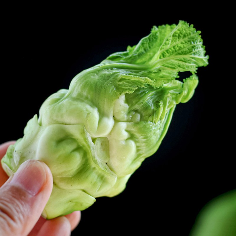 寿禾四川儿菜种子新种家庭种植早熟春冬季青蔬菜阳台籽 寿禾四川儿菜