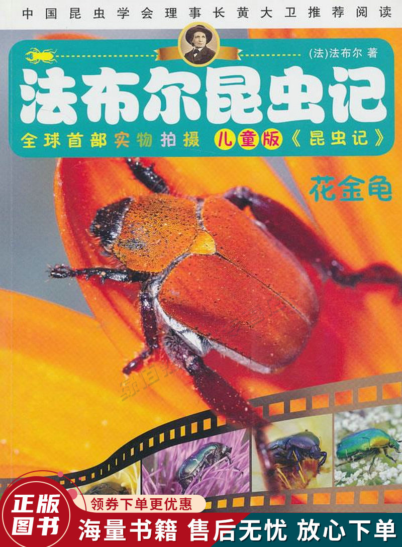 法布尔昆虫记--花金龟