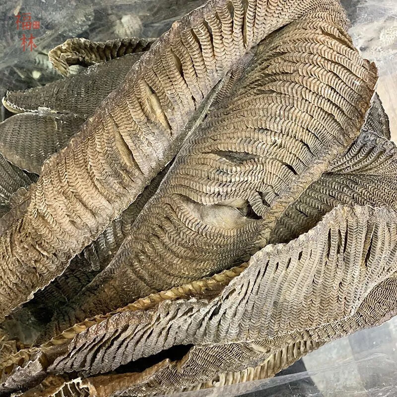 鱼鳃 相关京东优惠商品推荐降序排行榜 价格图片品牌优惠券 虎窝购 鱼鳃 相关京东优惠商品推荐降序排行榜 价格图片品牌优惠券 虎窝购