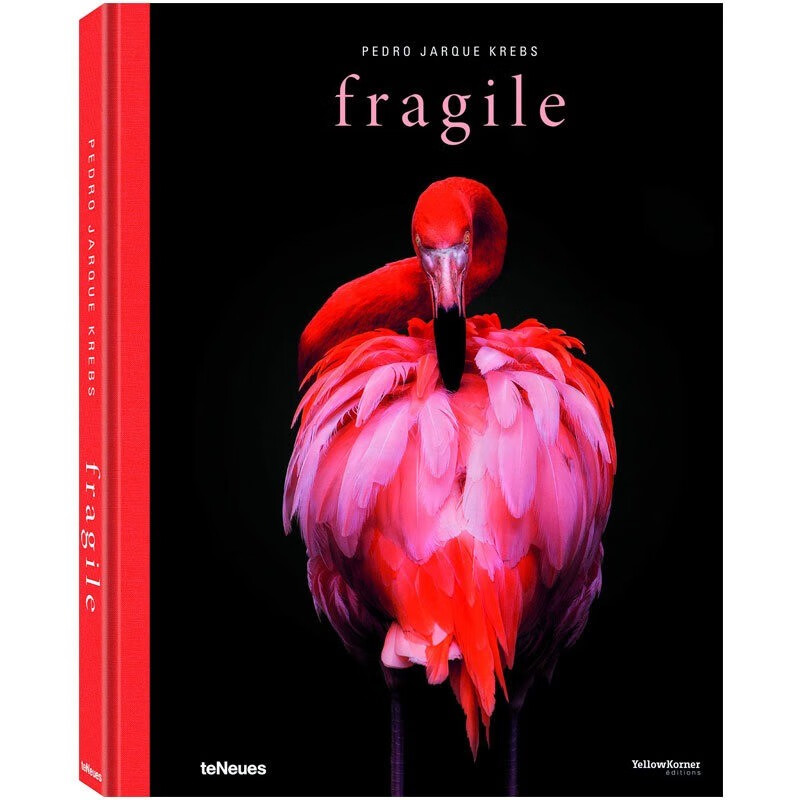 现货 英文原版 fragile 脆弱 佩德罗·雅克·克雷布斯 pedro jarque