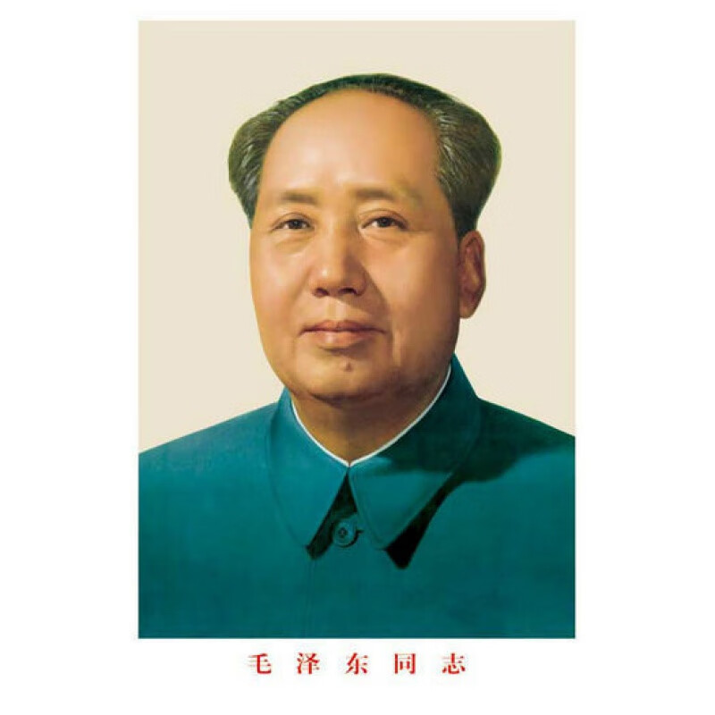 【精选】画像大厅墙画客厅纸画壁画中堂挂画伟人挂像头像画相北极象