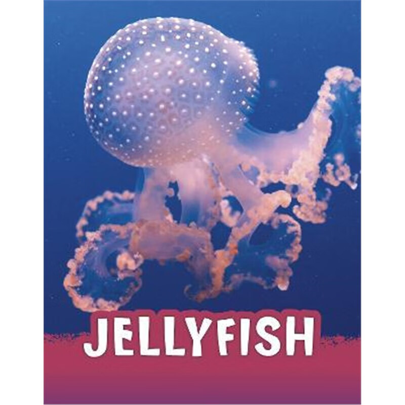 预订jellyfish