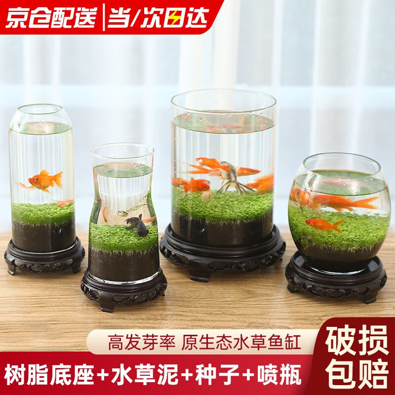 造景缸小型摆件生态真水草植物圆形鱼缸 大圆柱【底座 水草泥 种子