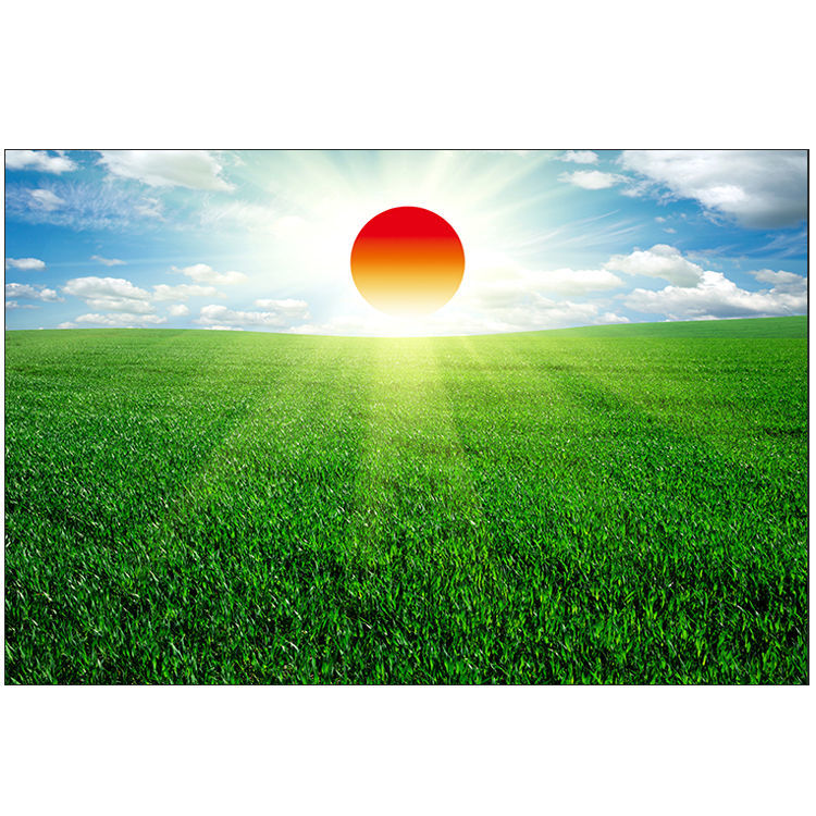 日出草原风景挂画旭日东升红太阳画绿色草地护眼图蓝天白云自粘画梦