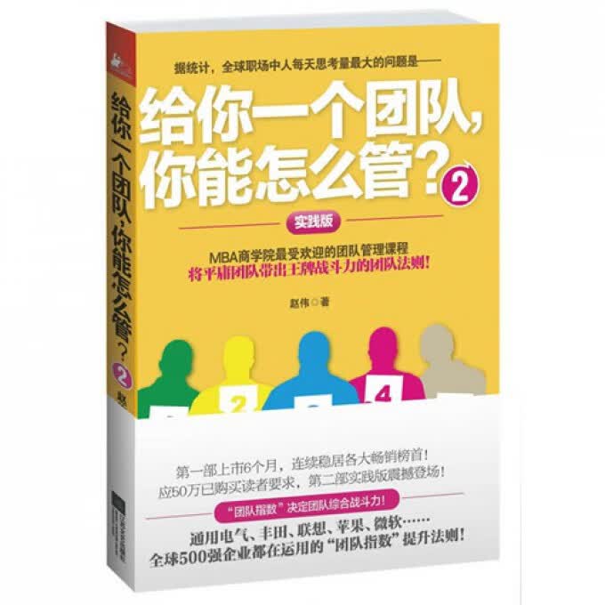 给你一个团队你能怎么管(2实践版)