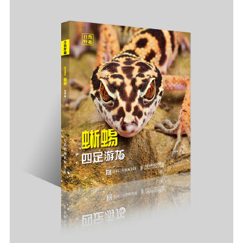 蜥蜴-四足游龙【关注有礼】