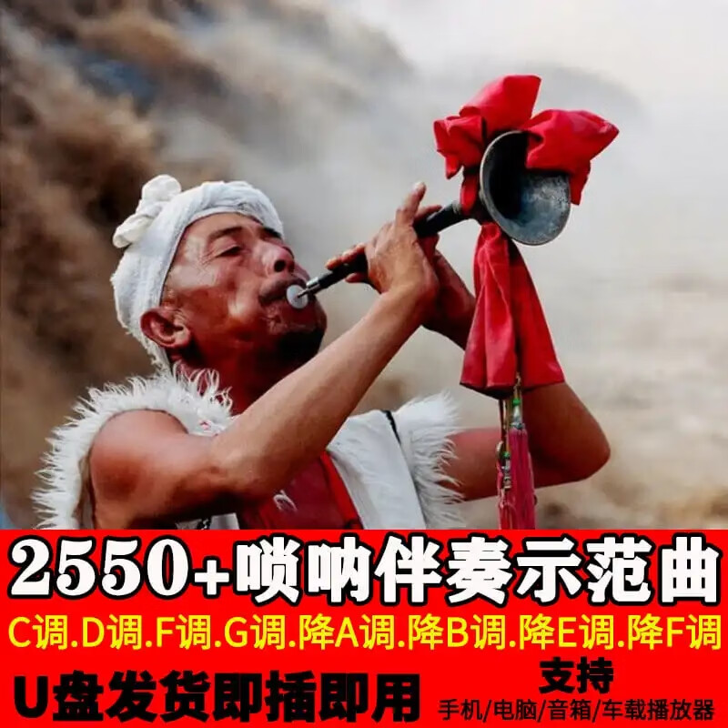 唢呐伴奏示范曲u盘独奏mp3音频优盘c调d调f调g调降a调降b调降e调 优盘