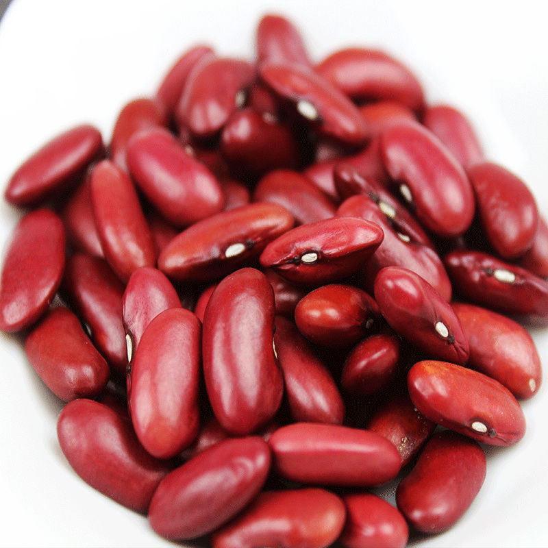 航飞新红腰豆5斤3斤2斤大红芸豆坝上大红豆 做豆馅甜品英国红芸豆 大