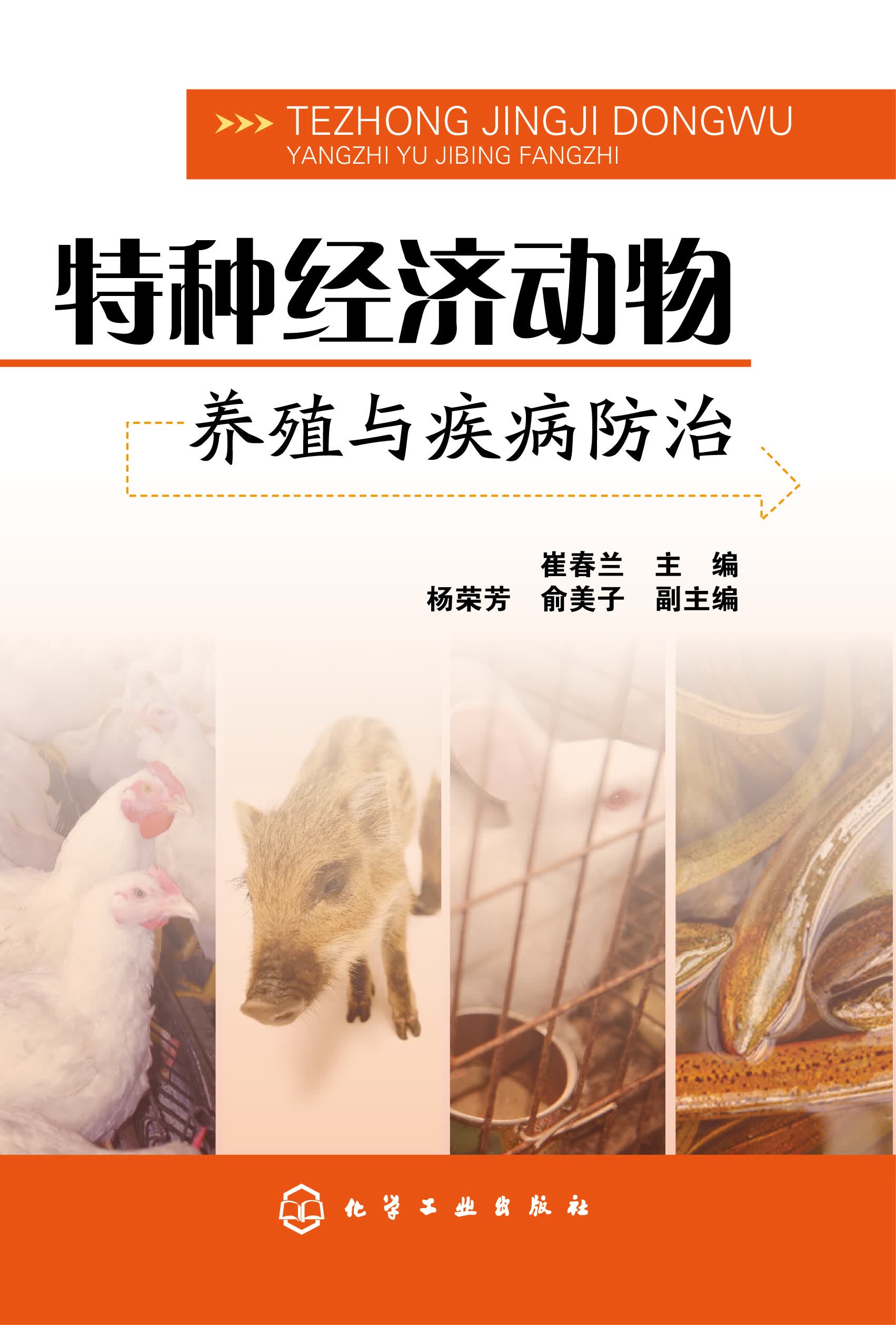 特种经济动物养殖与疾病防治 崔春兰 主编