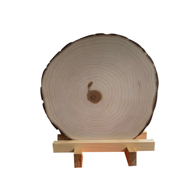 陳州 银杏木菜墩砧板架套装菜板厨房家用纯实木切菜板整木圆形白果木