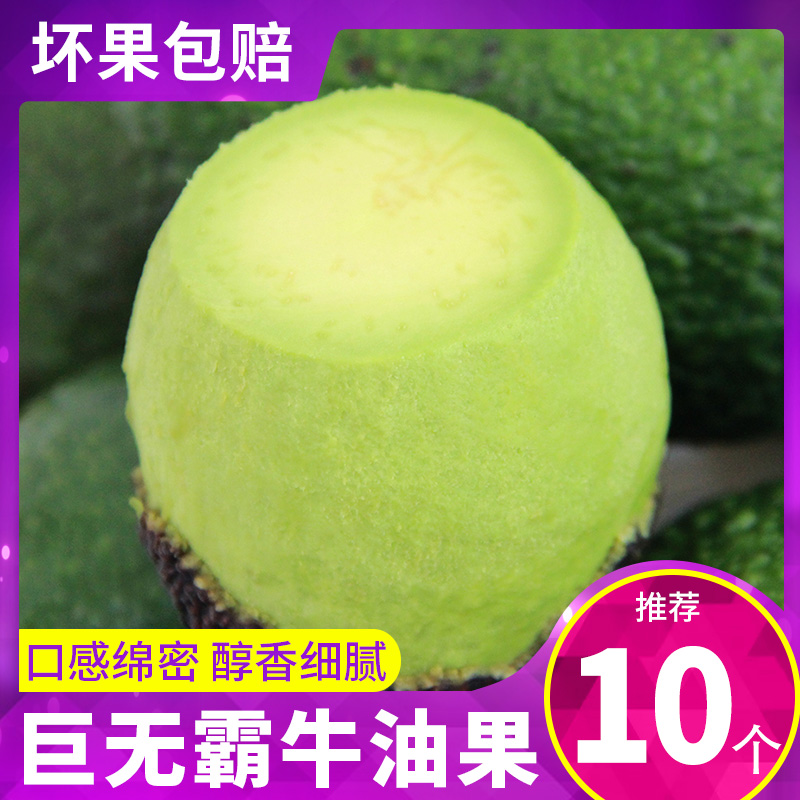 墨西哥牛油果智利当季新鲜水果即食鳄梨大果新鲜孕妇水果 大果 4个