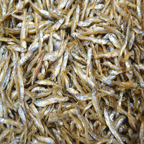 农家小鱼干干货淡水鱼河鱼干银鱼干无盐小鱼仔 250g/ 半斤