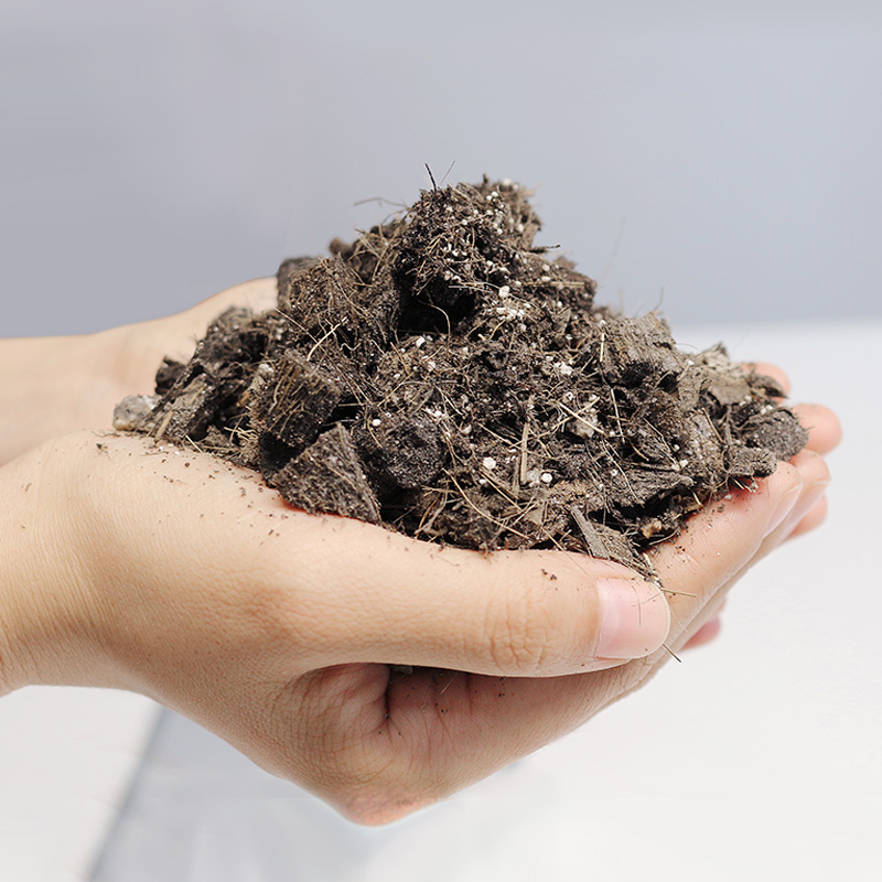 梵蒂禧 营养土 兰花专用土 花土 君子兰专用土 蝴蝶兰专用土 兰科专用