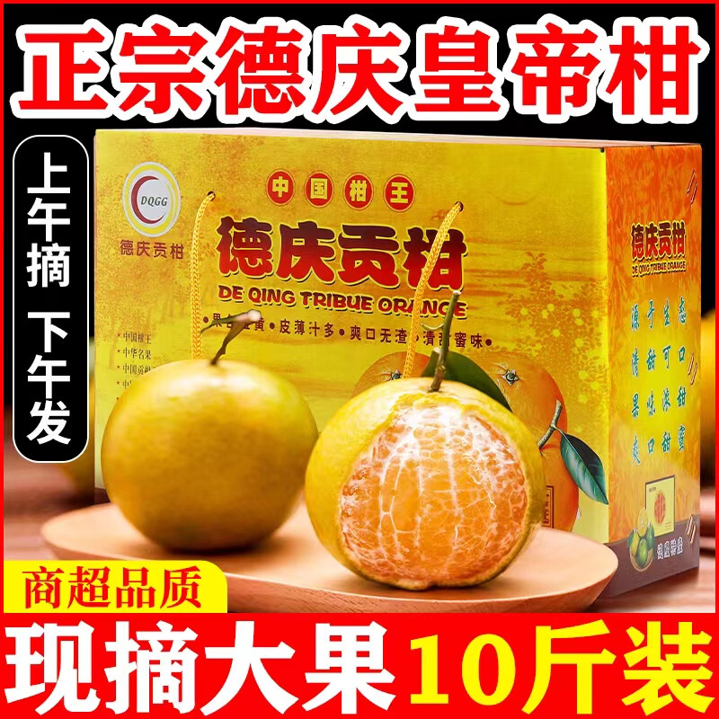 顺丰速发 正宗德庆皇帝柑贡柑大果 10斤5广东新鲜当季水果爱媛沃橙桔子 礼盒装现摘 当天发货 德庆皇帝柑10斤【礼盒装】