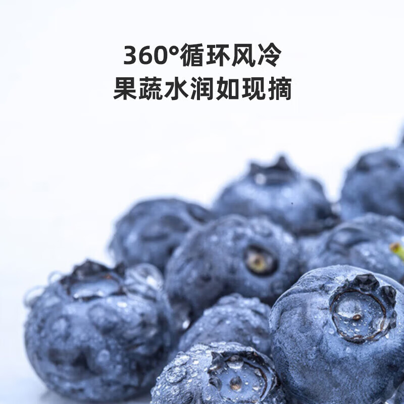 格力（GREE）晶弘冰箱600升对开-33℃深冻储鲜360度风冷养鲜变频一级能效BCD-600WPDCL/布鲁斯