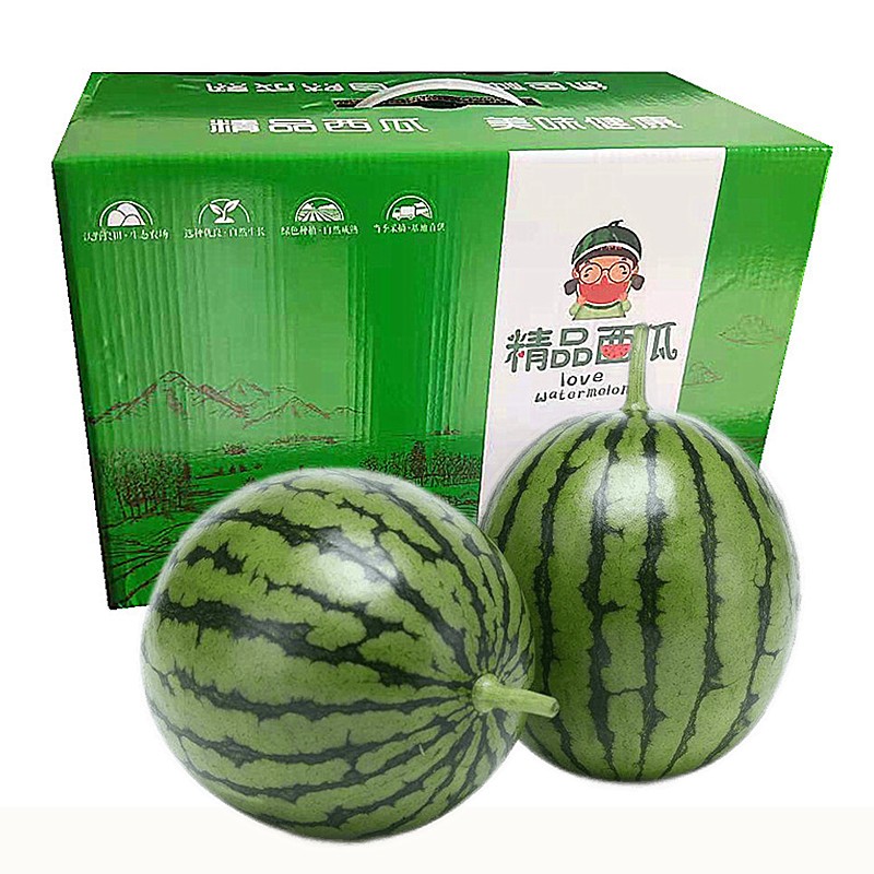 青尊园大兴庞各庄西瓜 头茬小吊瓜西瓜 送礼礼盒水果新鲜当天现摘现发
