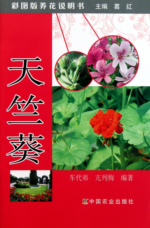 天竺葵/彩图版养花说明书