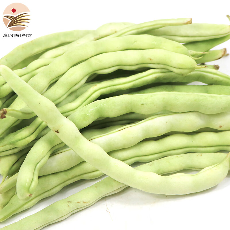 豆角白芸豆黄金钩豆角油豆角大紫袍芸豆农家新鲜青蔬菜 【白豆角】5斤