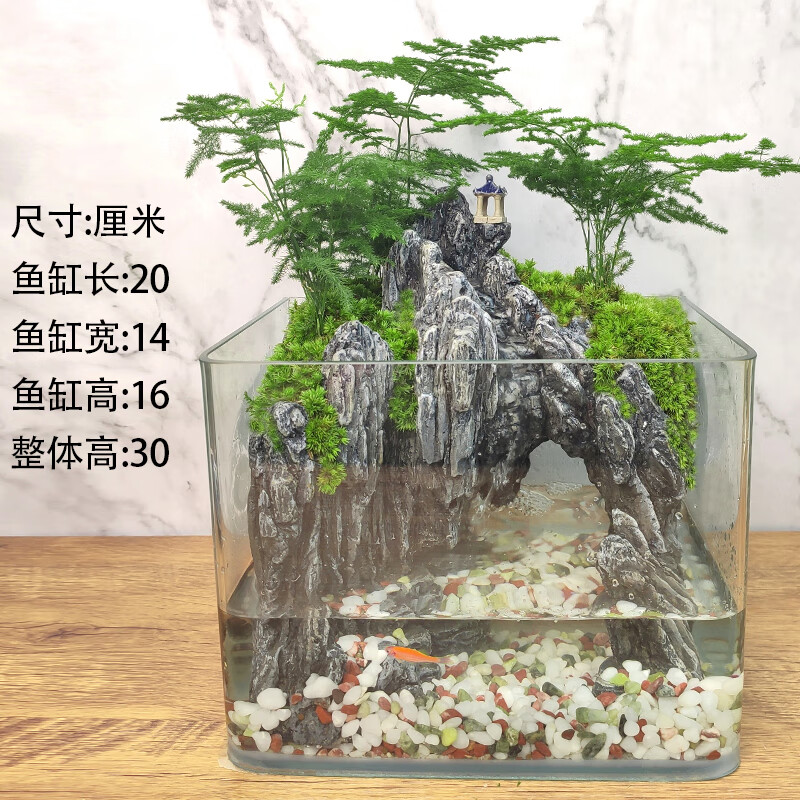 不丁流水版文竹盆栽盆景植物室内苔藓微景观绿植办公桌水培生态瓶鱼缸