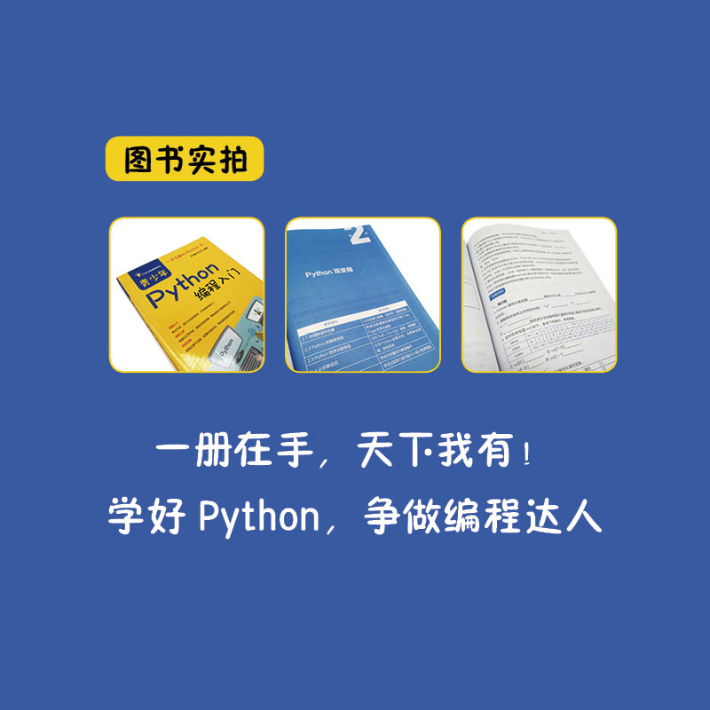 青少年Python编程入门（异步图书出品）