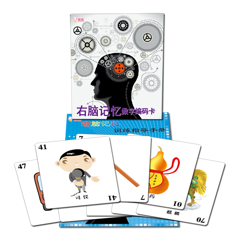 数字记忆编码表 右脑记忆数字编码卡片右脑开发训练手册数字记忆力