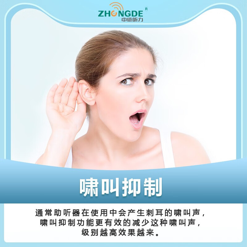 中德（ZhongDe）ZDB-101助听器 充电式老人耳聋耳背隐形专用助听器 ZDB-101B16通道双耳+2年换