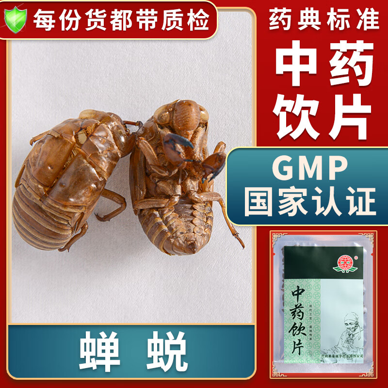 蝉蜕中药材大药房中药店抓药中草药店中药材抓配别名蝉退蝉衣蝉壳知了
