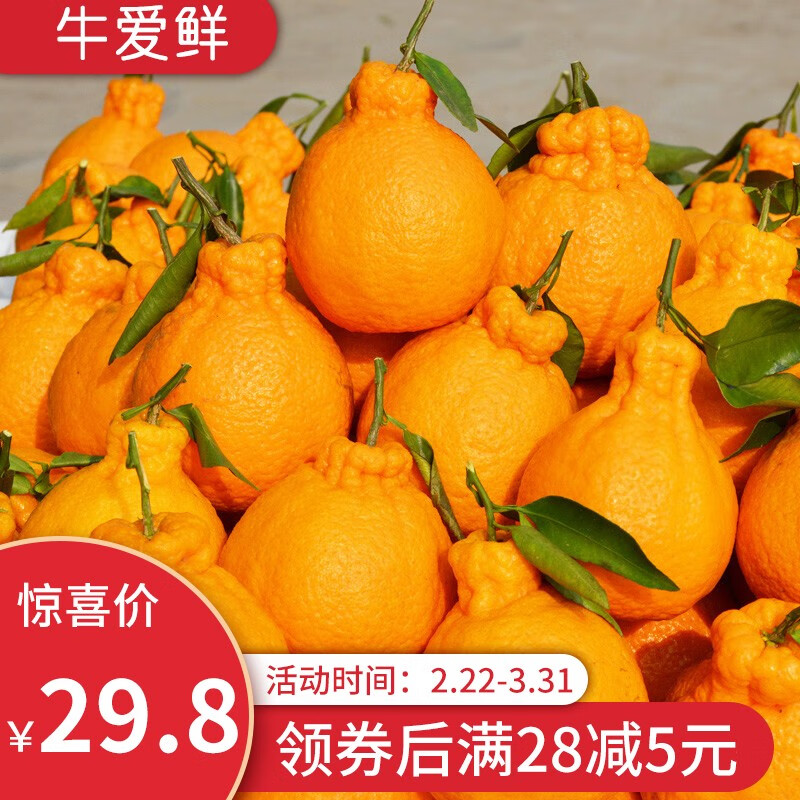 柠檬历史价格价格查询|柠檬价格走势