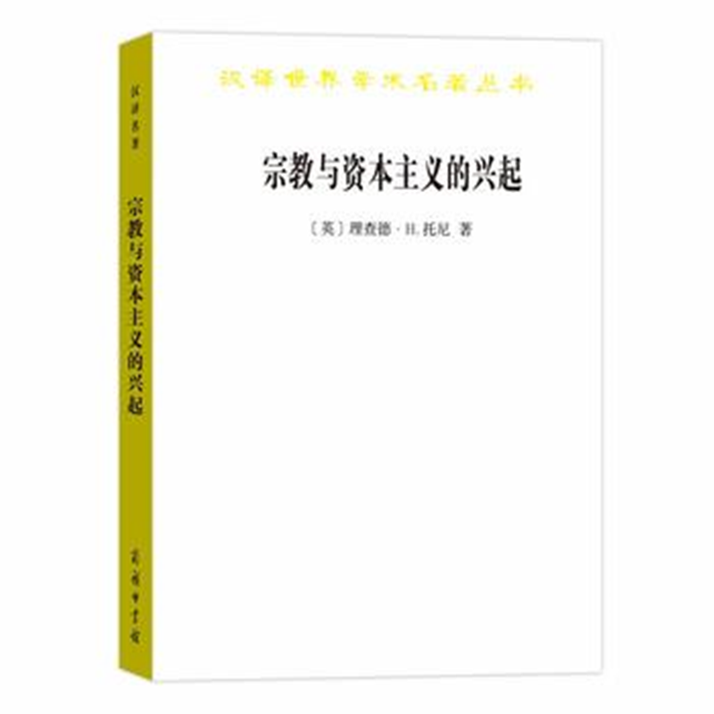 宗教与资本主义的兴起（汉译世界学术名著丛书）