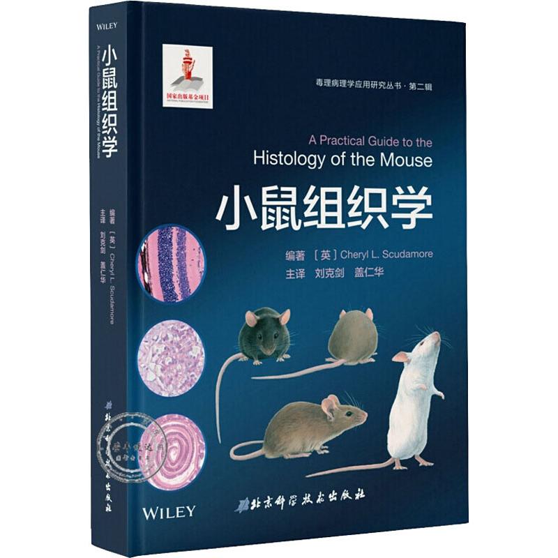 小鼠组织学