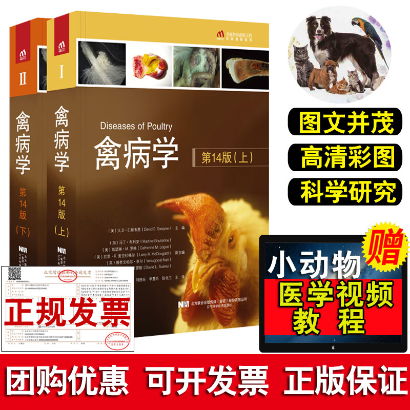 2022新书 禽病学第14版第十四版大卫斯韦恩辽宁科学技术出版家禽病治疗诊断病预防书籍兽医应用书籍家禽常见病书籍禽病预防书